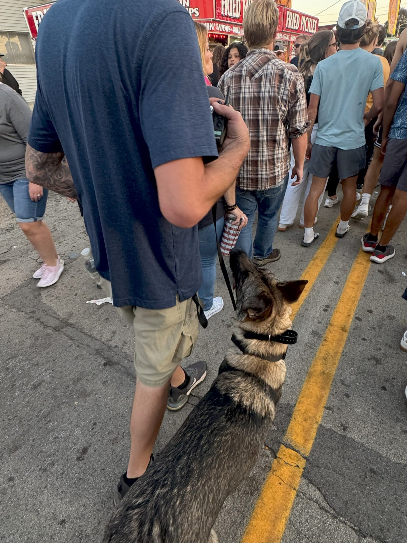 German Shepherd Deliverance K9 obedience training Sesson