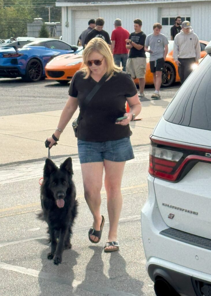 lady walking German shepherd heel