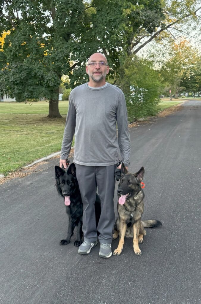 two German shepherds off leash heel